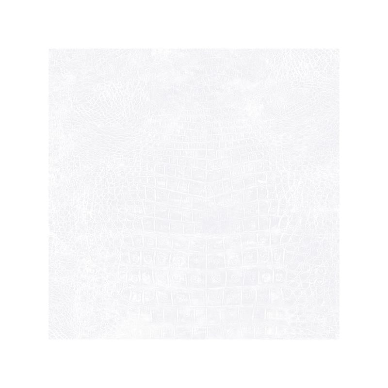 Sample G67508 Natural FX Alialligator Norwall