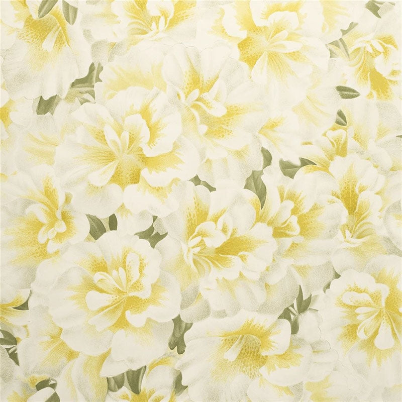 Order PJD6004/03 Variegated Azalea Mimosa by Designer Guild Wallpaper