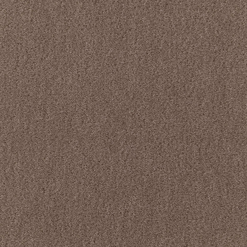 Purchase sample of 64868 San Carlo Mohair Velvet, Driftwood by Schumacher Fabric