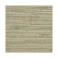 Sample NZ0780 Grasscloth York, SEA GRASS color Greens Grasscloth by York Wallpaper