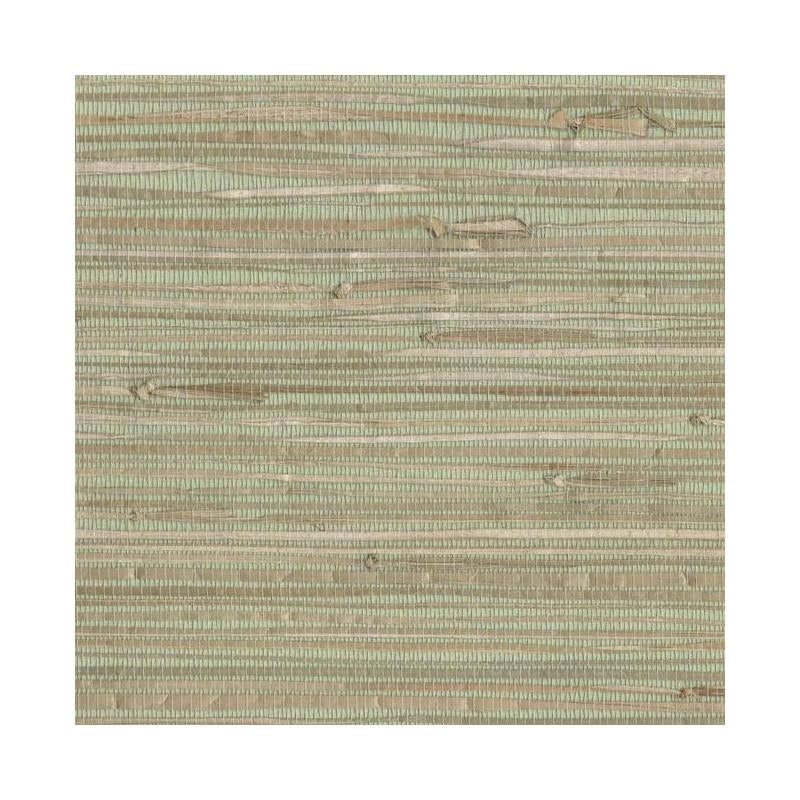 Sample NZ0780 Grasscloth York, SEA GRASS color Greens Grasscloth by York Wallpaper
