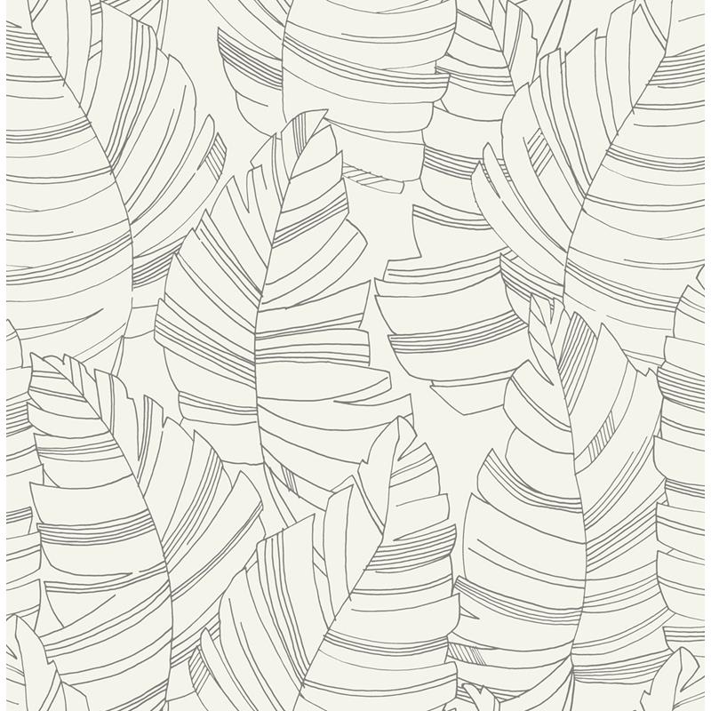 Acquire DA61400 Day Dreamers Jungle Leaves Charcoal by Seabrook Wallpaper