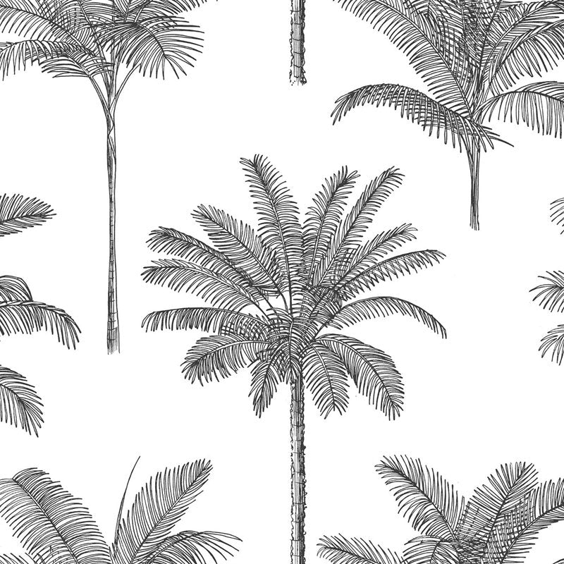 View DD139162 Design Department Taj Charcoal Palm Trees Wallpaper Charcoal Brewster