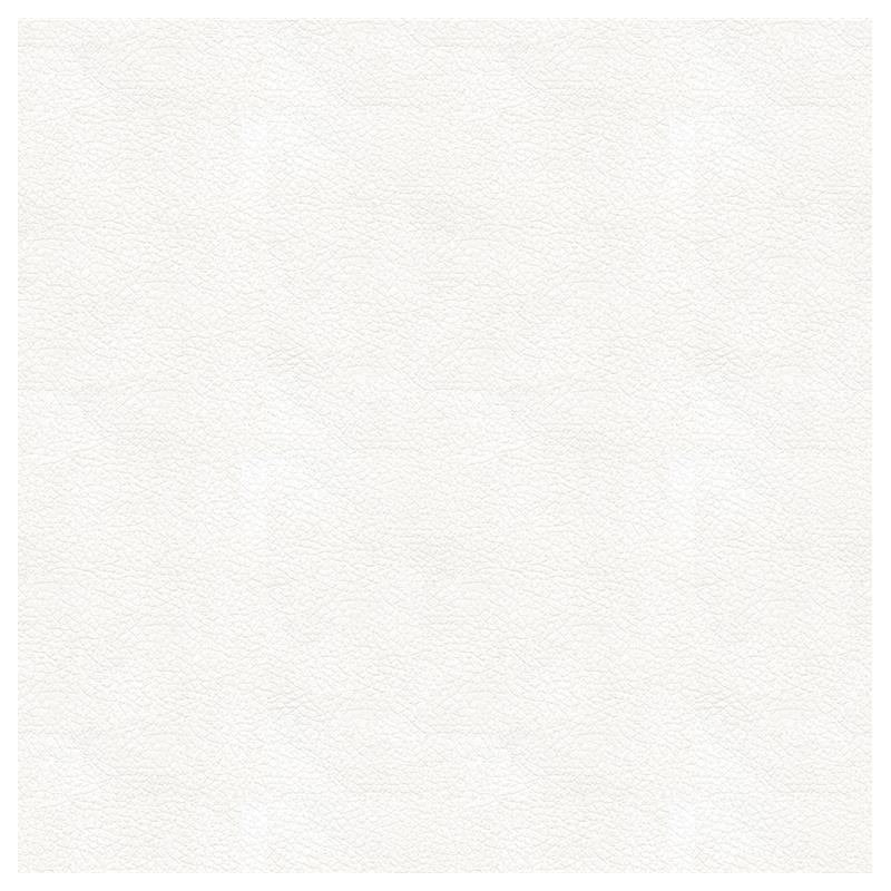 Buy ALI.101.0  Solids/Plain Cloth White by Kravet Design Fabric