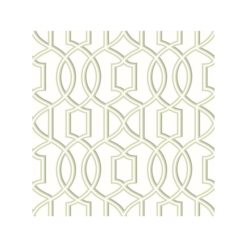 Sample 2625-21813 Symetrie, Quantum Green Trellis  by A Street Prints