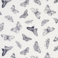Find 179430 Burnell Butterfly Black by Schumacher Fabric