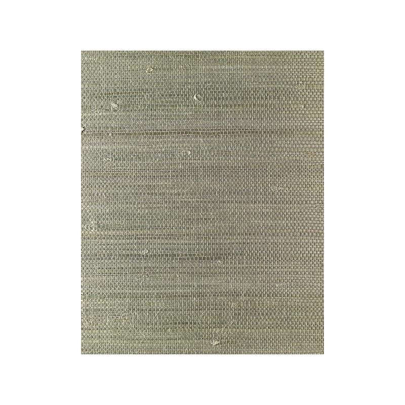 Sample EW3141 East WindsIII by Washington Wallcovering