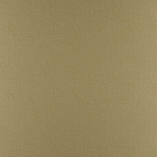 PY1315 | Phobos Cane by Maxwell Fabric