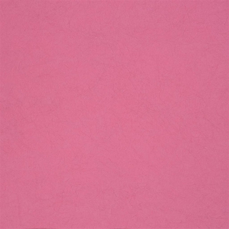Sample P502-41 Ernani, Fuchsia by Designer Guild Wallpaper