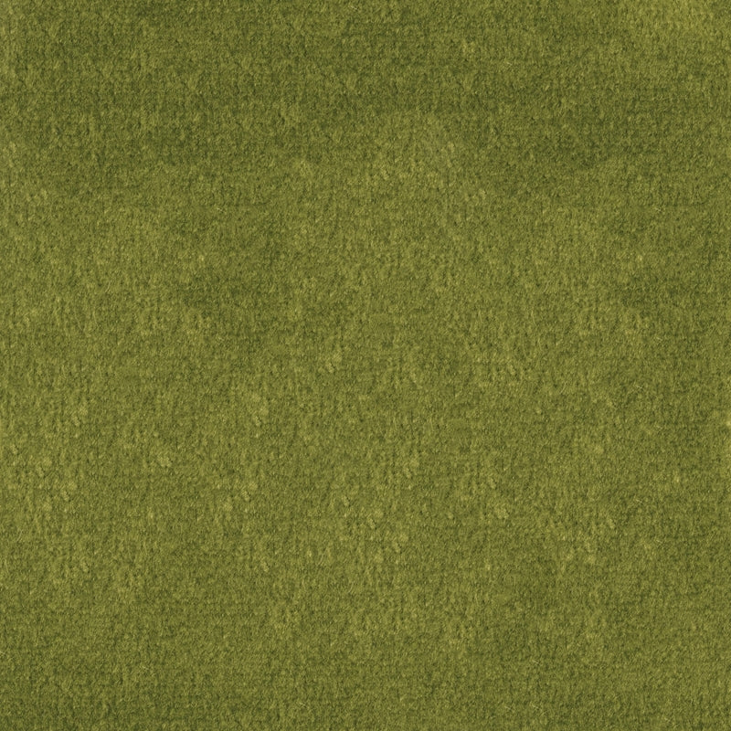 Search F1837 Fern Green Texture Greenhouse Fabric