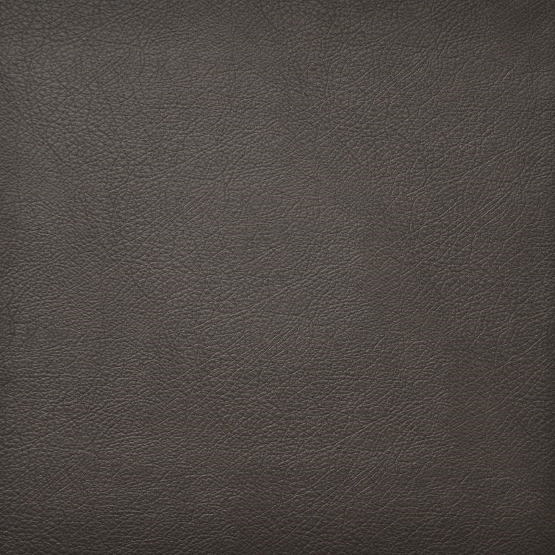 HG6743 | Hidalgo Espresso by Maxwell Fabric