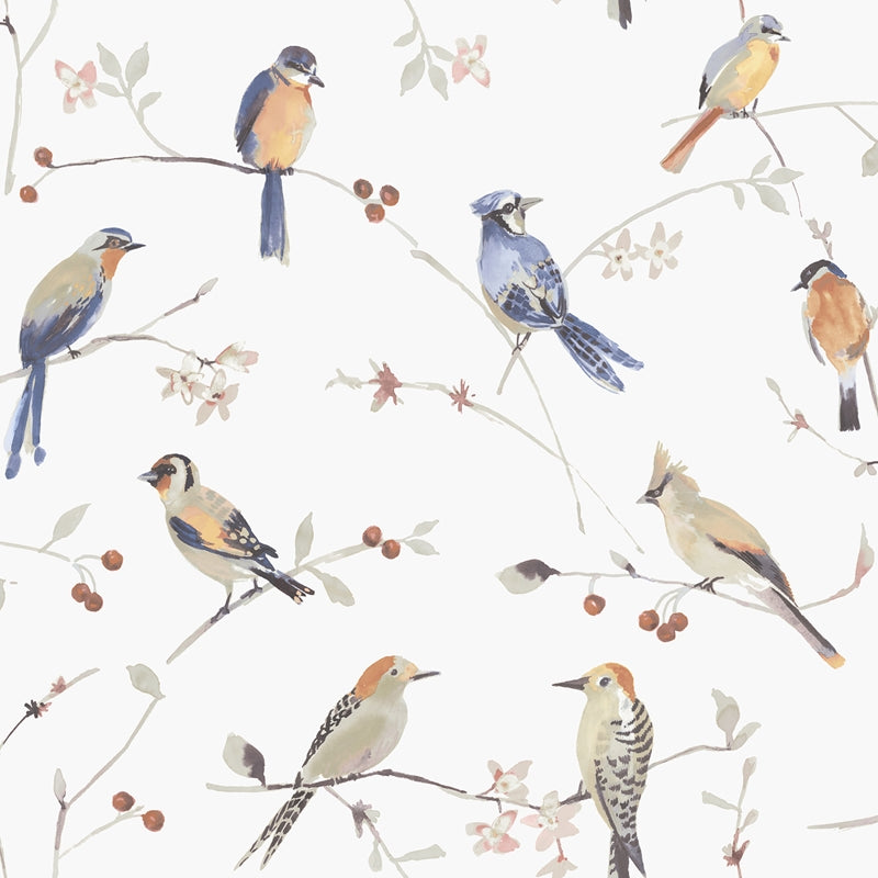 Sample 3124-13851 Thoreau, Birdsong Orange Trail Wallpaper by Chesapeake
