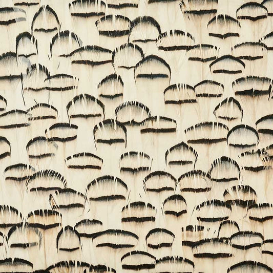 Search 5008407 Opal White Schumacher Wallpaper