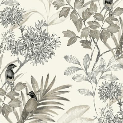 Acquire TL1927 Handpainted Traditionals Handpainted Songbird Gray York Wallpaper