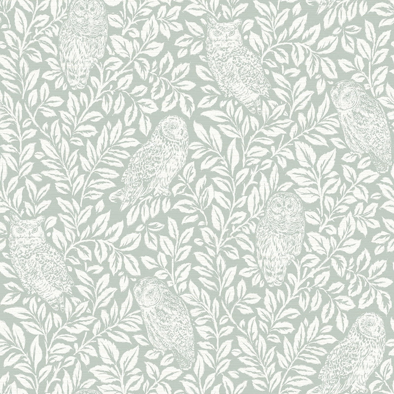Sample 3115-12414 Farmhouse, Parliament Teal Owl by Chesapeake Wallpaper