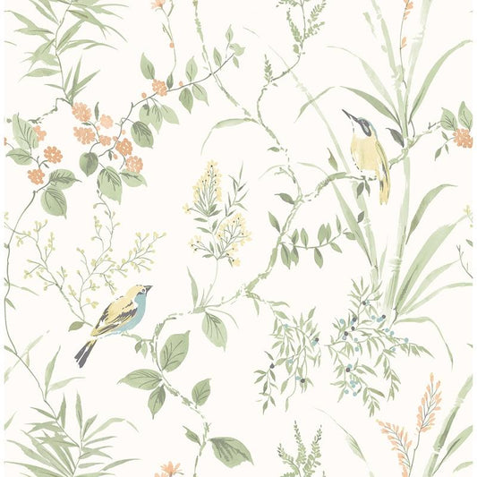 Buy 2904-24174 Fresh Start Kitchen & Bath Imperial Garden Sage Botanical Wallpaper Sage Brewster