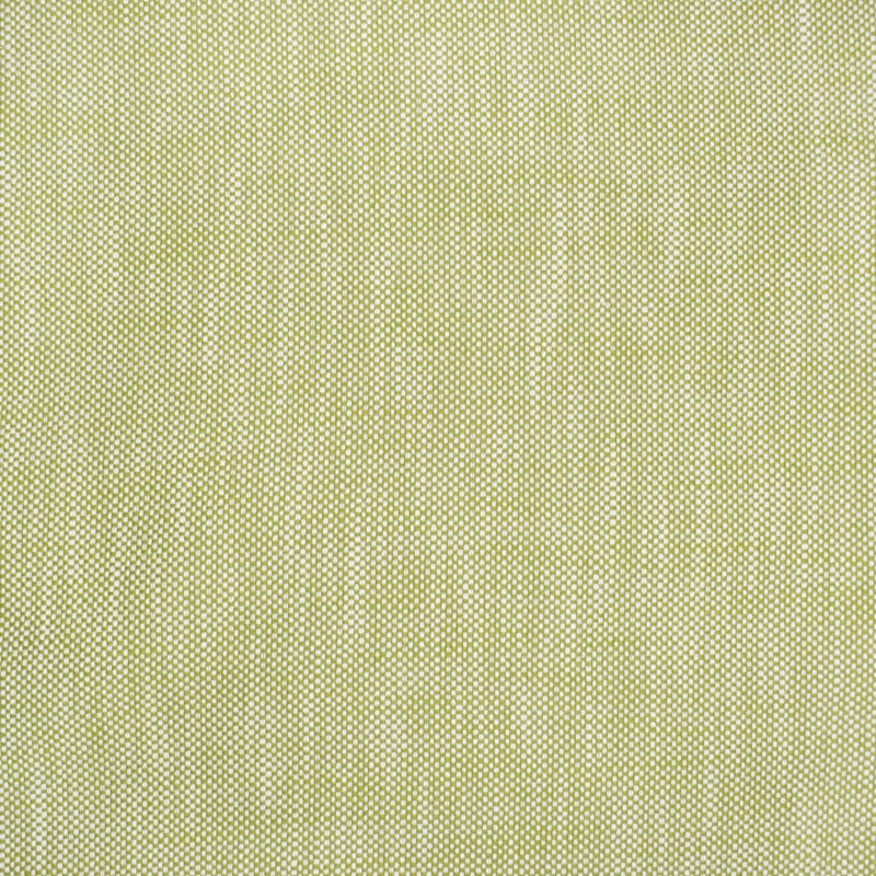 View S4551 Palm Solid Green Greenhouse Fabric