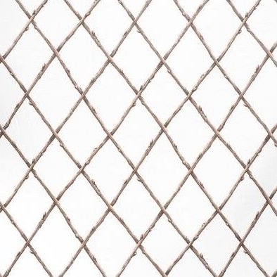 Purchase 2020116.1116.0 Bare Twig Trellis Brown Lattice by Lee Jofa Fabric