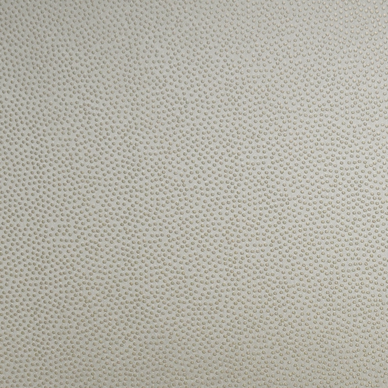 Order S4960 Ecru Neutral Greenhouse Fabric