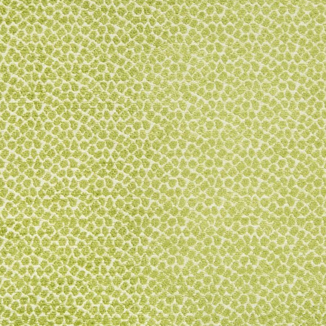 Looking 34745.3.0  Skins Green by Kravet Contract Fabric