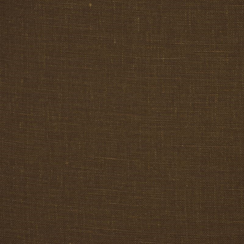 Sample Kilrush Branch Robert Allen Fabric.