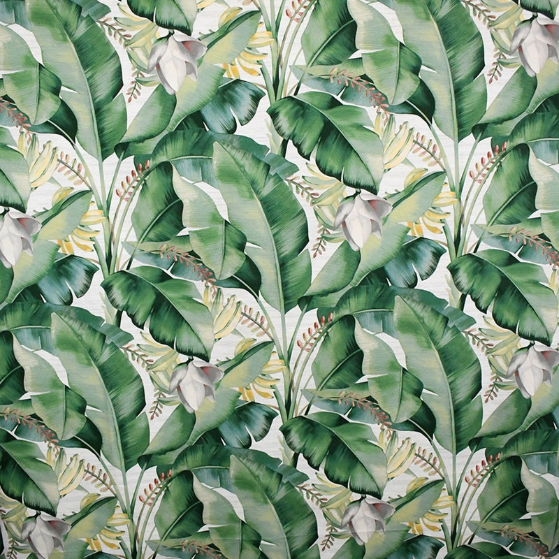 Find S5085 Aloe Floral Green Greenhouse Fabric