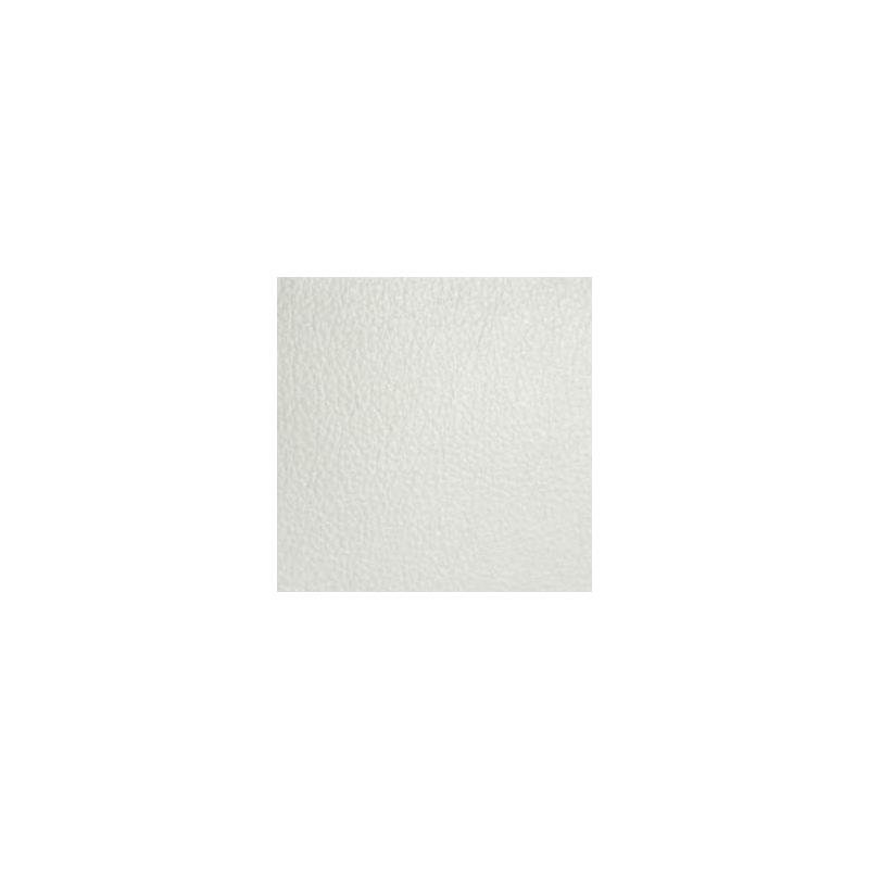 Sample CDA042 Classic (contract Vinyl) White by Maxwell