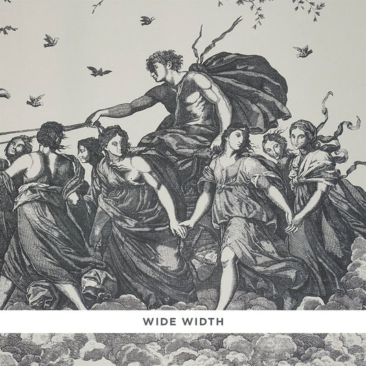 Order 5011500 Chariot Of Dawn Toile Black Schumacher Wallcovering Wallpaper