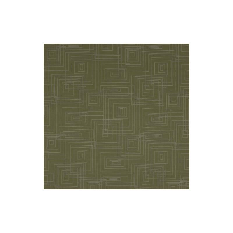 143663 | Tron | Aloe - Robert Allen Home Fabric