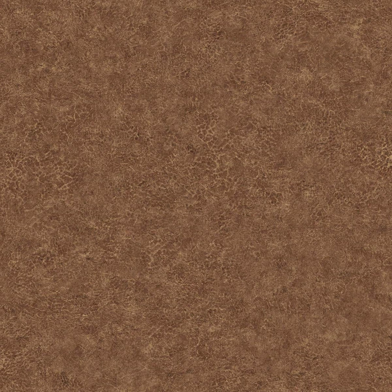 Order BV30606 Texture Gallery Roma Leather Tawny by Seabrook Wallpaper
