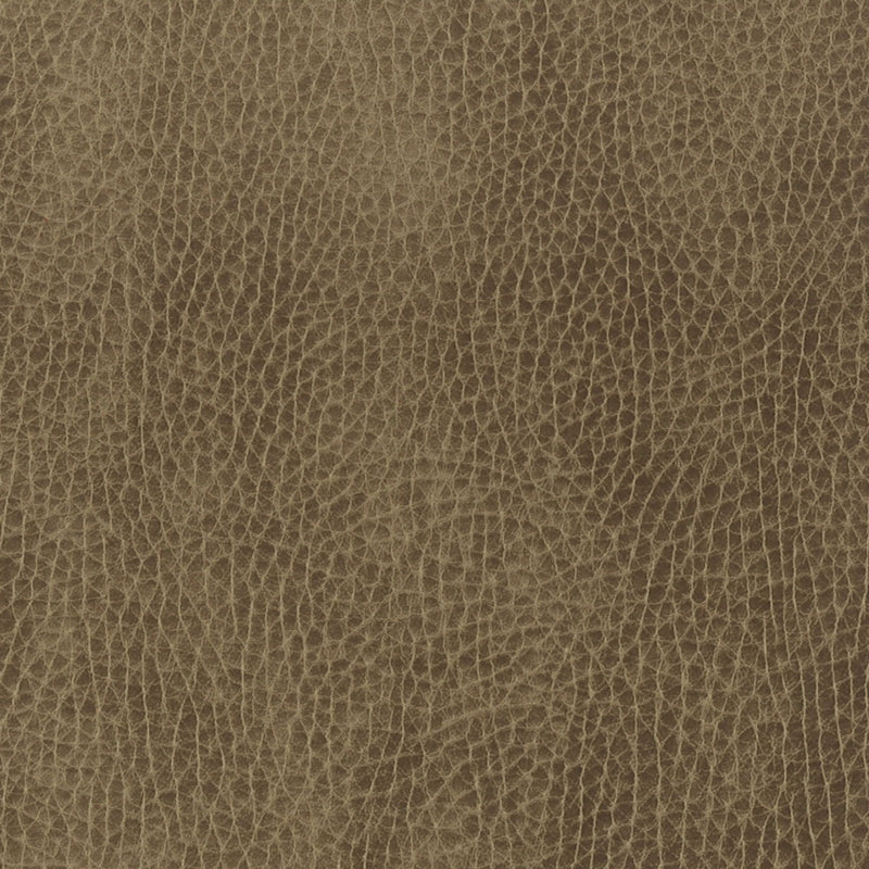 Sample PASS-3 Cocoa by Stout Fabric