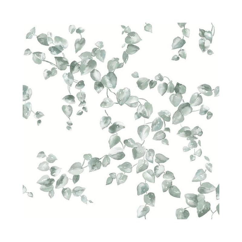 Sample FH4037 Simply Farmhouse, Creeping Fig Vine Sage York Wallpaper
