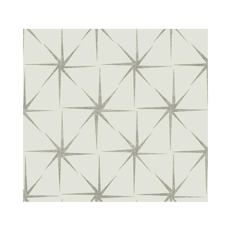 Sample GR5943 Grandmillennial, Evening Star Silver York Wallpaper