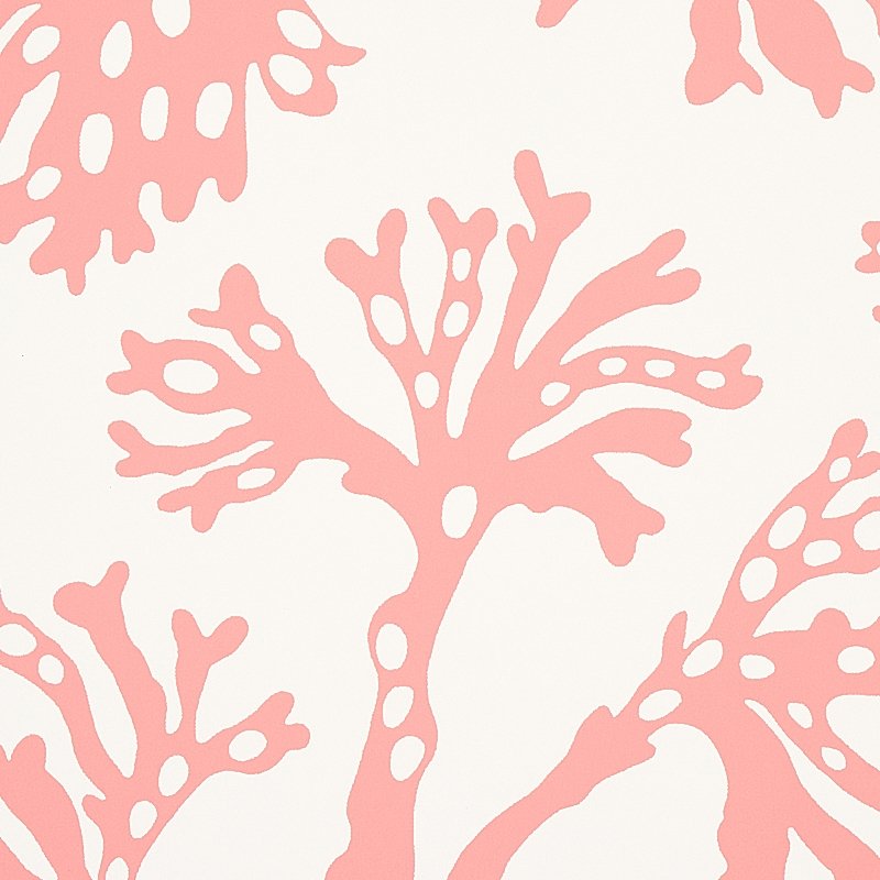 Looking for 5012132 Anthoza Coral Schumacher Wallcovering Wallpaper