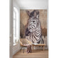 X4-1010 Colours  Zebra Wall Mural by Brewster,X4-1010 Colours  Zebra Wall Mural by Brewster2