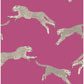 Looking SCS4276 Scalamandre Bubblegum Leaping Cheetah Peel & Stick Wallpaper Bubblegum by NuWallpaper