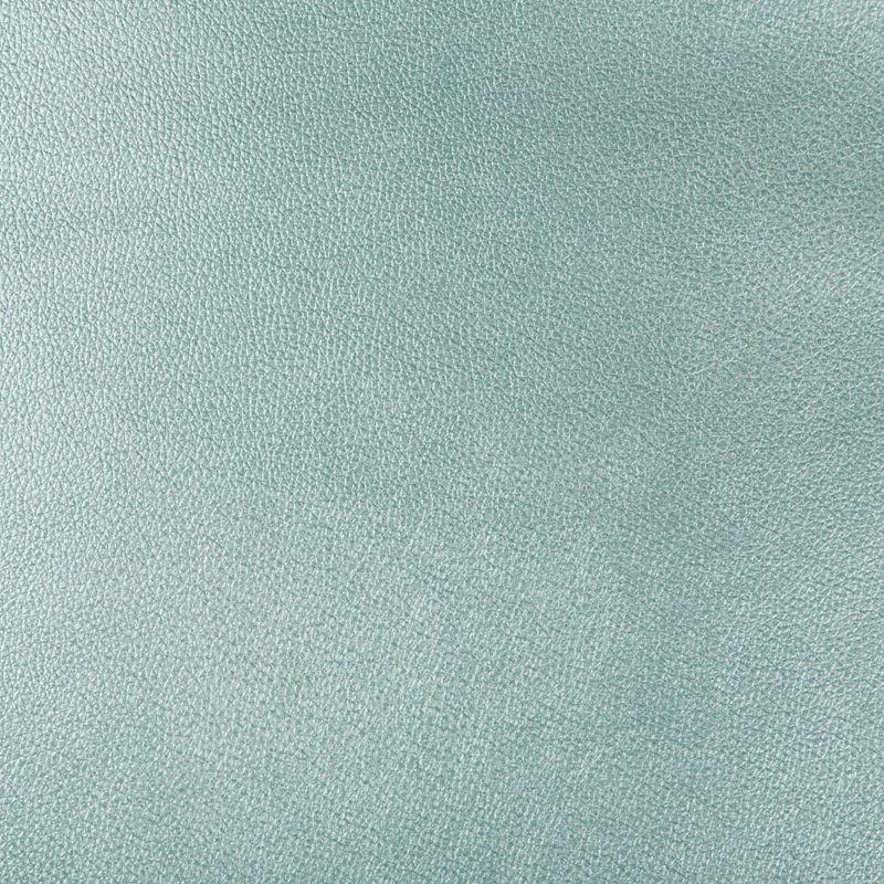Buy AZERI.13.0  Skins Turquoise by Kravet Design Fabric