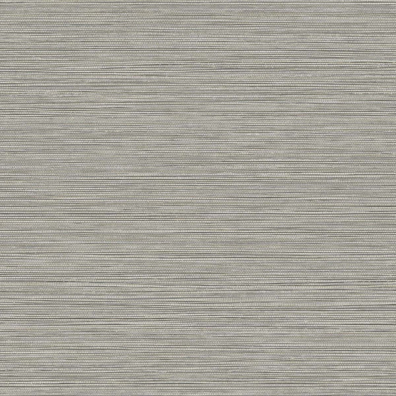 Sample BV30118 Texture Gallery, Grasslands Graphite Seabrook Wallpaper