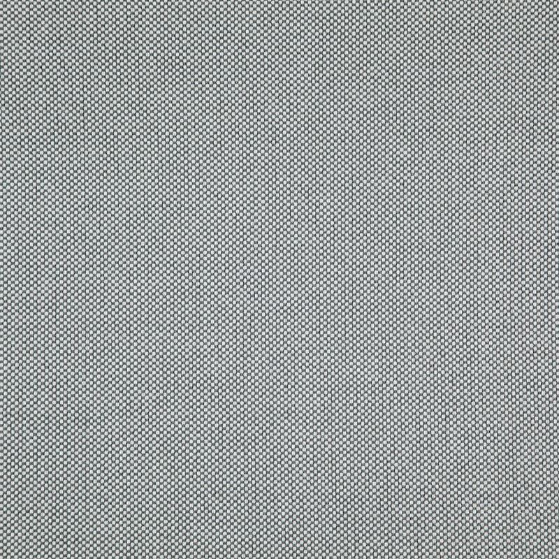 LO8215 | Light Year Feather by Maxwell Fabric