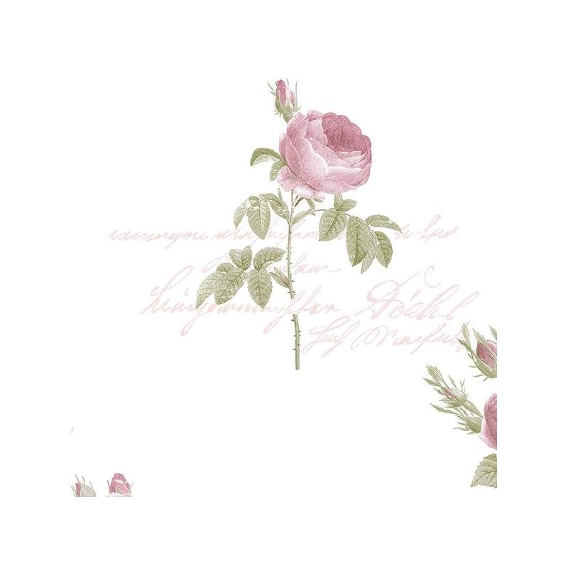 Sample CG28820 Rose Garden 2 Norwall Wallpaper
