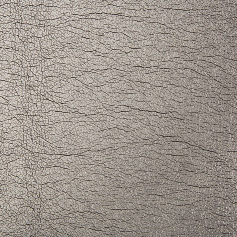 Acquire BRYCE.21.0  Metallic Grey by Kravet Design Fabric