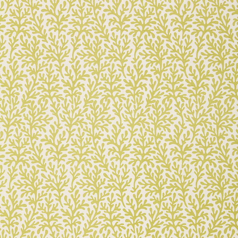 Purchase sample of 174462 Sea Coral, Chartreuse by Schumacher Fabric