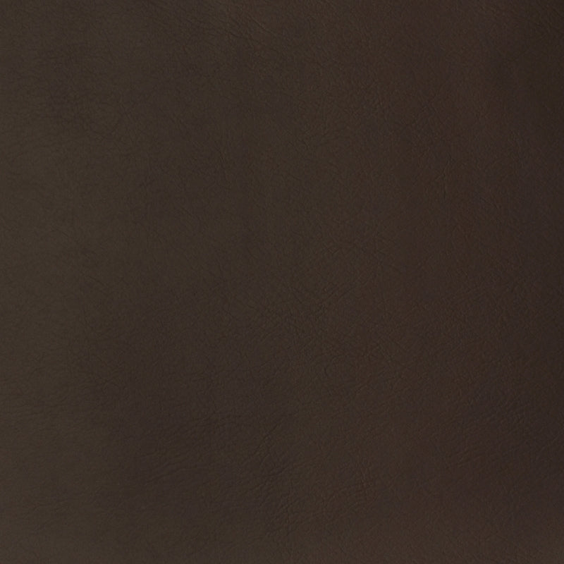 Acquire F2878 Chocolate  Upholstery Greenhouse Fabric