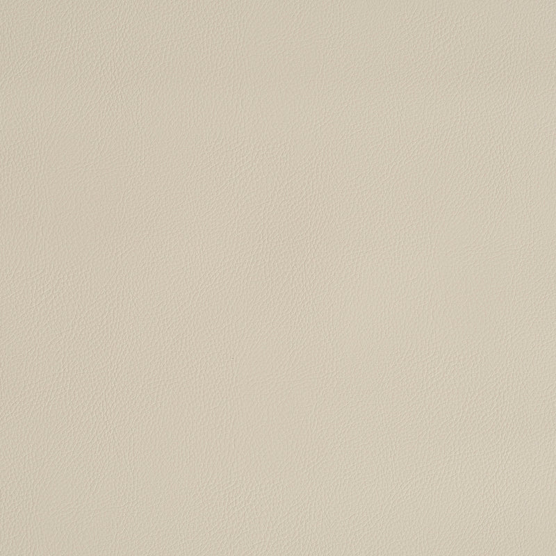 Purchase sample of 79552 Indoor/Outdoor Vegan Leather, Cream by Schumacher Fabric