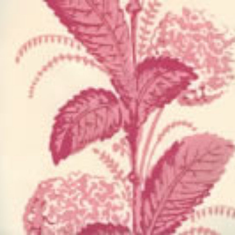 Sample 303306WP Climbing Hydrangea, Pink On Almost White by Quadrille Wallpaper