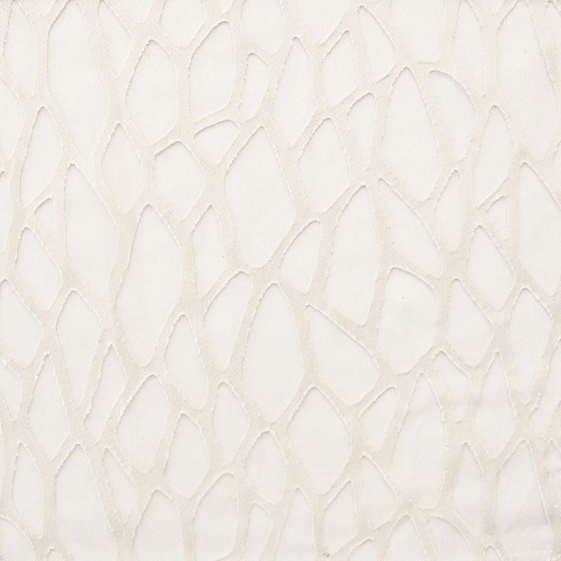 Sample MCCA-3 Mccarthy Bone by Stout