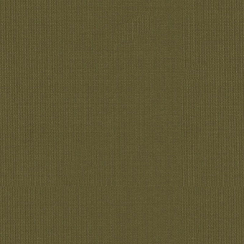 Purchase sample of 22656 Sargent Silk Taffeta, Olive by Schumacher Fabric