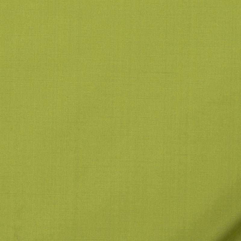 215505 | Vinetta Key Lime - Robert Allen