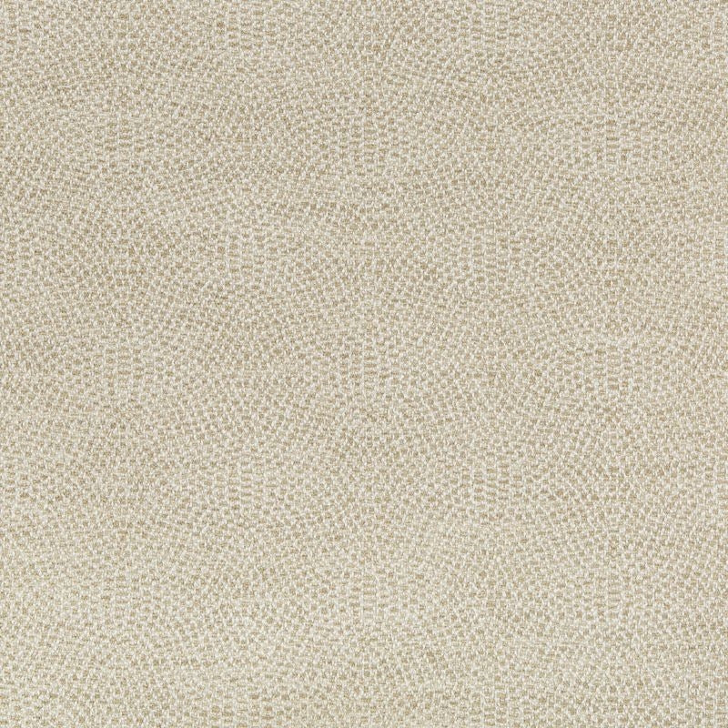 Buy 35699.16.0  Contemporary Beige by Kravet Design Fabric