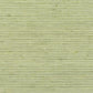 Sample MANN-14 Manning Apple by Stout